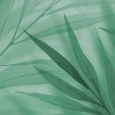 Fototapete Grüne Palmenblätter 