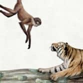 Kinderzimmer Fototapete Afrikanische Tiere im Dschungel - Kikki Belle 