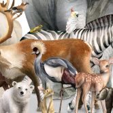 Fototapet Kikki Belle - Biodiversitet 