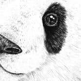 Fototapete Winkender Panda - Korenkova 