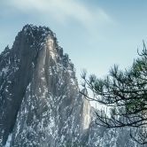 Fototapete Kiefernwald im Huang Shan Gebirge - NingYun Ye 