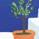 Fototapete Siesta mit Katze am Meer - Rivers 