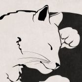 Fototapete Katzen Ying & Yang - Tunaboylu 