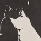 Papier peint photo Deux chats au clair de lune | motif animalier pour la chambre - Tunaboylu 