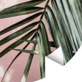 Fototapete Palmenblatt vor rosa Wand - Böhmer - Rund - Selbstklebend/Vlies 