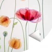 Behangcirkel Disher - Colourful Poppies - vliesbehang/zelfklevend vliesbehang 