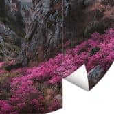 Papier peint photo rond Seo - Paysage rocheux au coucher du soleil - papier peint intissé/papier peint intissé autocollant 