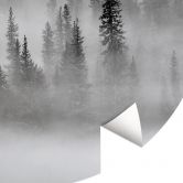 Fototapete Nebelwald in Schwarz-Weiß - Waldtapete Rund - Xu - Selbstklebend/Vlies 