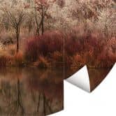 Fototapet - Rundt van Dongen - Frozen Forest - vliesetapet/selvklæbende non-woven tapet 