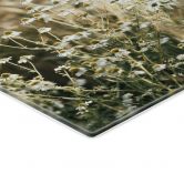 Glasbild Sommerwiese mit Kamille - Annie 