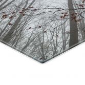 Glasbild Baumkronen mit roten Blättern - Coman 
