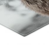 Glasbild Hirsch im Schneegestöber - Strigel 