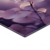 Glasbild Zarte Orchidee in Lila - Treechild 