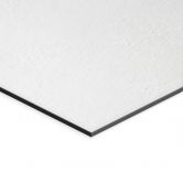 Wandbild Sneaky Cat - Graves - Alu-Dibond 
