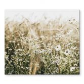 Stove cover plate for the kitchen - Summer meadow with camomile - Annie 