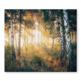 Herdabdeckplatte Sonnenschein im Birkenwald - Kado 
