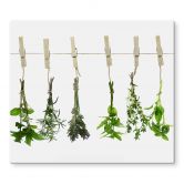 Stove cover plate - Herbs 