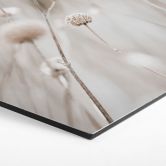 Hexagon Wandbild Getrocknete Blüten in sanften Tönen - Annie - Alu-Dibond 