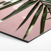 Hexagon - Alu-Dibond Palmenblatt vor rosa Wand - Böhmer 