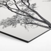 Hexagon Wandbild Minimalistischer Baum in ruhiger Landschaft - Flour - Alu-Dibond 