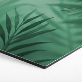 Hexagon Wandbild Grüne Palmenblätter - Alu-Dibond 