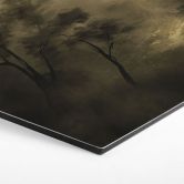 Hexagon Wandbild Bäume im Nebel der Dämmerung - Hobday - Alu-Dibond 