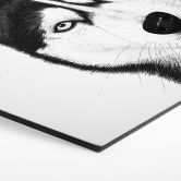 Hexagon Wandbild Sibirischer Husky - Hundeporträt - Korenkova - Alu-Dibond 