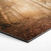 Hexagon Wandbild Wald im morgendlichen Nebel - Maier - Alu-Dibond 
