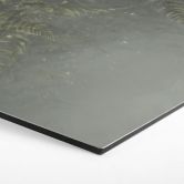 Hexagon Wandbild Farn im Nebelwald in Grün - Ms Tiff - Alu-Dibond 