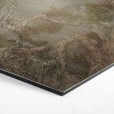 Hexagon Wandbild Wald mit Blick in die Baumwipfel - Ms Tiff - Alu-Dibond 