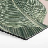 Hexagon Dibond Calathea-plante - Sisi & Seb 