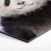 Hexagon - Alu-Dibond - Sisi & Seb - Baby Panda 