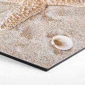 Hexagon Wandbild Sternfisch im goldenen Strand - Alu-Dibond 