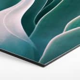 Hexagon - Alu-Dibond Wechsler - Agave Pflanze im Morgenlicht 