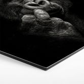 Hexagon - Alu-Dibond Meermann - Der Gorilla 