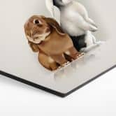 Hexagon - Alu-Dibond Braun - Bunny Love 