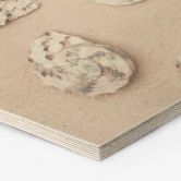 Hexagon Hout 1X Studio - At the Beach 