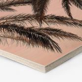 Hexagon - Holz 1X Studio - Palmen 