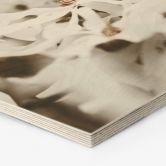 Hexagon - Holz Annie - Jasmin 