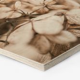 Hexagon - Holz Annie - Samtblüten 