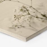 Hexagon - Holz Annie - Wiesenkerbel 