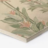 Hexagon Holzbild Tropischer Wald mit Kakadus - Bloomery Decor 