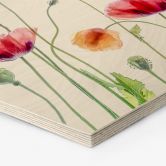 Hexagon Holzbild Bunte Mohnblumen - Disher 