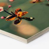 Houten Wanddecoratie zeshoek lente ontwaken 