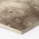 Hexagon Holzbild Pusteblumen Traum in Beige - Ms Tiff 