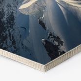 Sekskantet billede af træ på toppen af Mont Blanc - Nienartowicz 