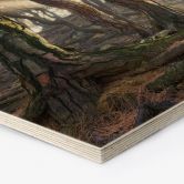Hexagon-Holzbild Heiliger Kiefernwald - Ryu 