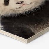 Hexagon - Holz Sisi & Seb - Baby Panda 