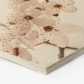 Hexagon Holzbild Zweig mit weißen Kirschblüten - Sisi & Seb 