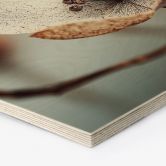 Hexagon Holzbild Boho Trockenblume Makro - Treechild 
